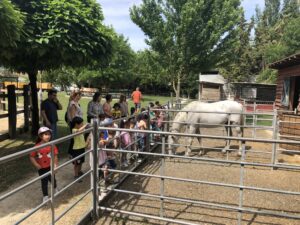 Primaria Excursión granja (1)