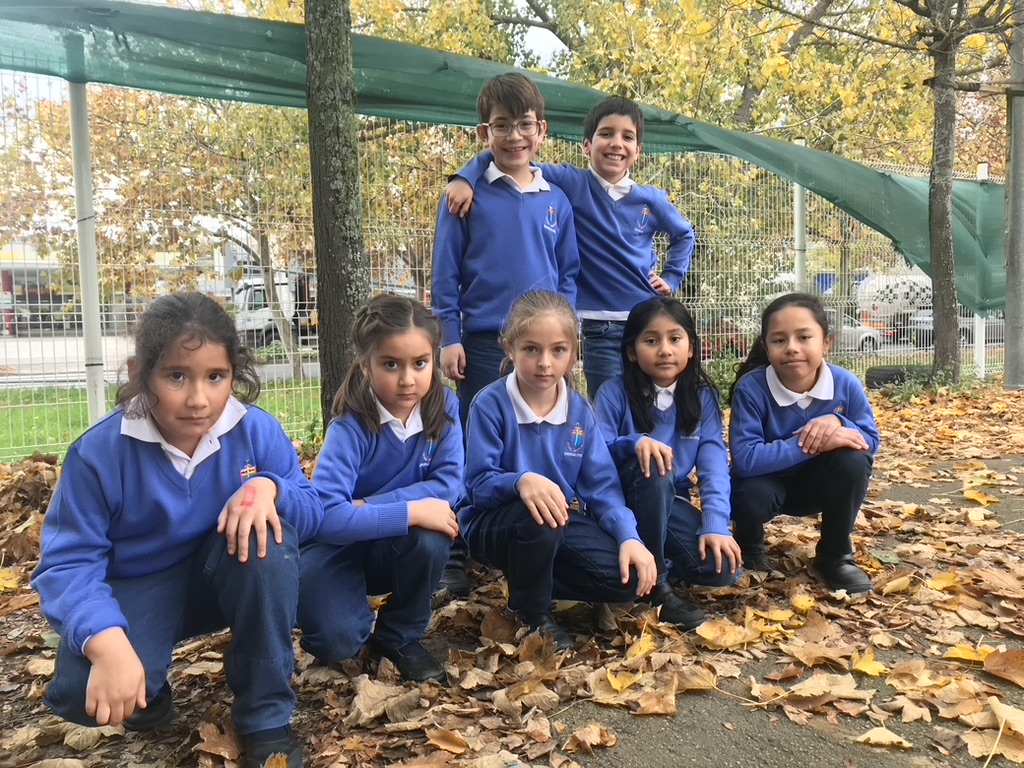 3º Primaria