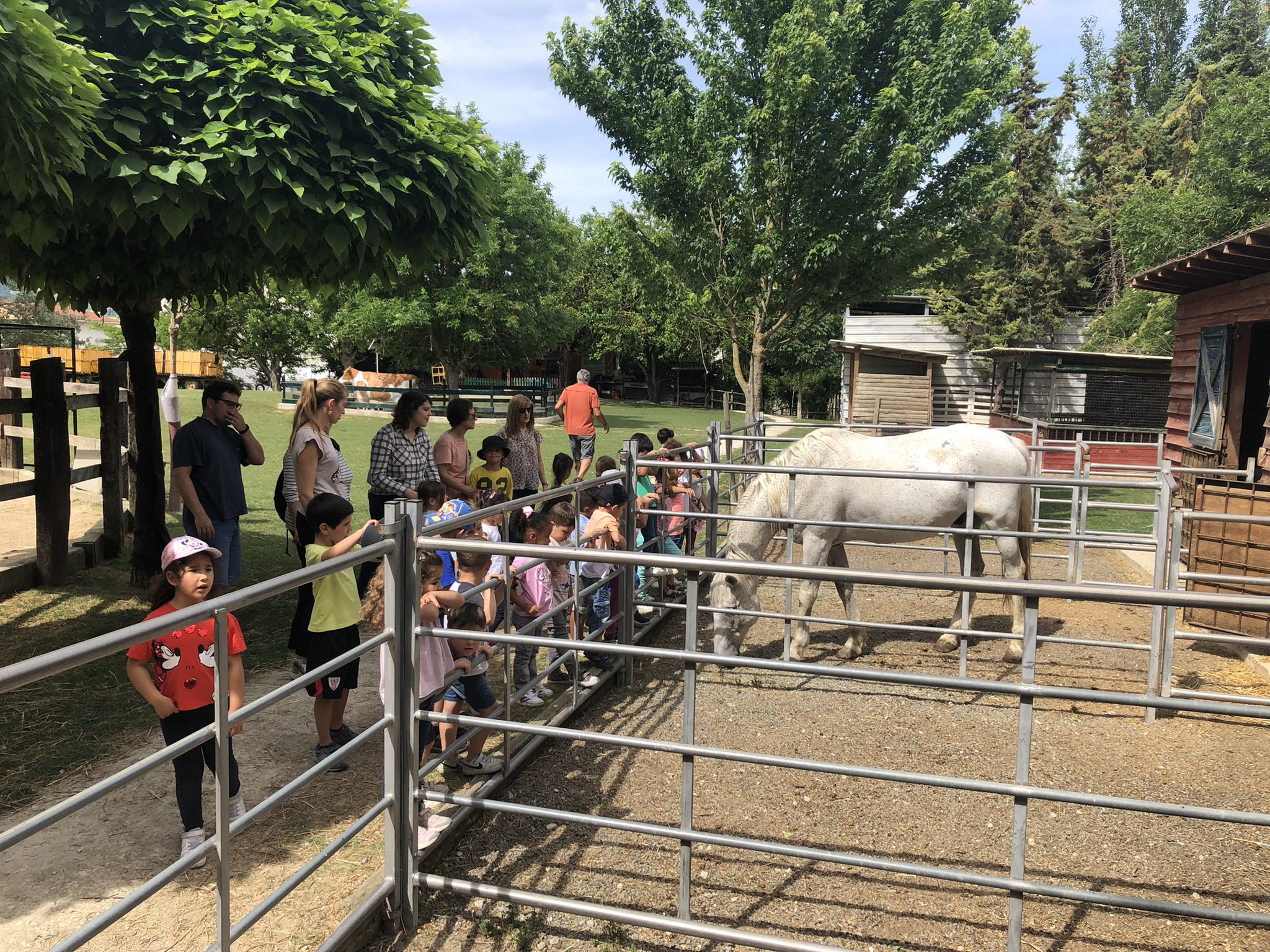 Primaria Excursión granja (1)